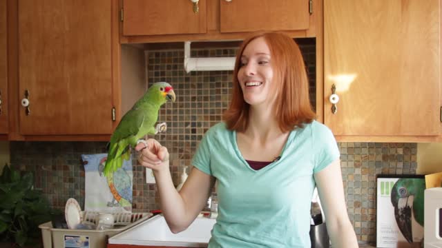 Parrot Copy Cat