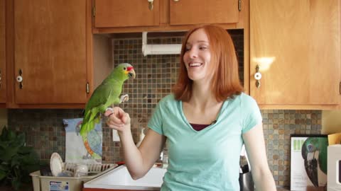 Parrot Copy Cat