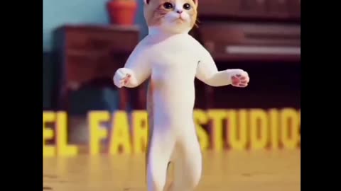 Cat dansh