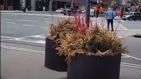 5G levels measured in Canada