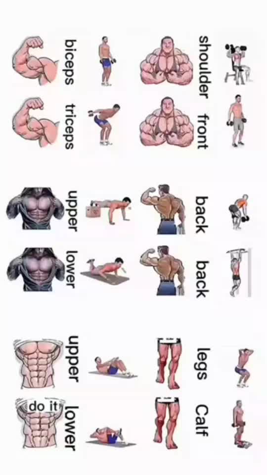 Complete Body Workout