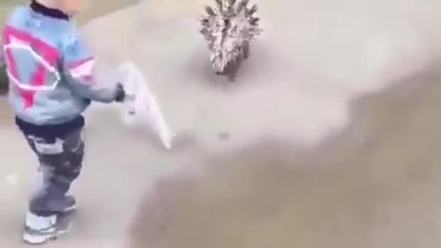 Best Funny Animal Videos of the year (2021), funniest animals ever. relax with cute animals.AWW anim