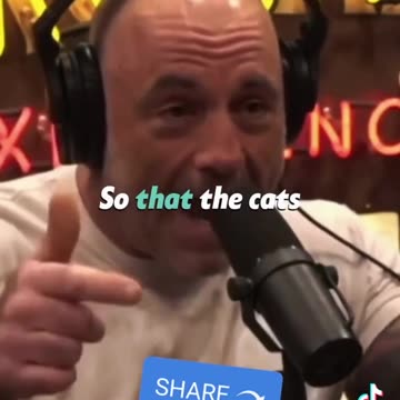 Toxoplasmosis Gandhi