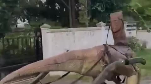 Funny Video #2