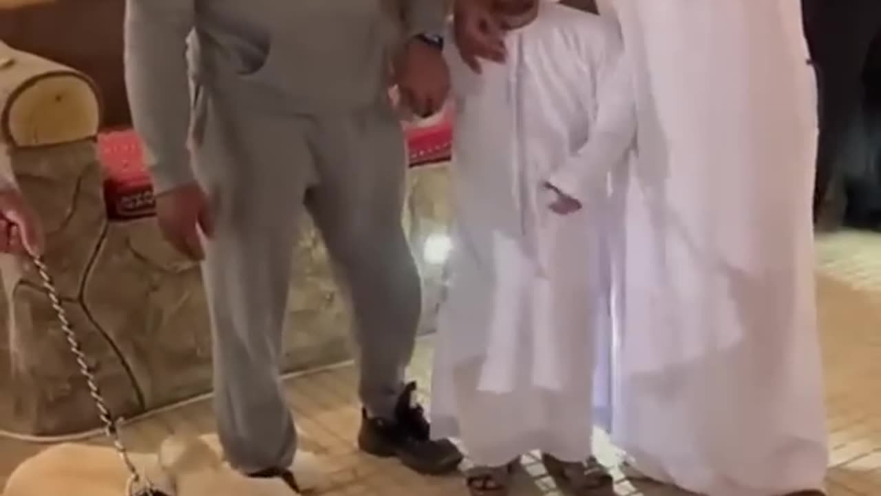 3 arabi funniest people part 4