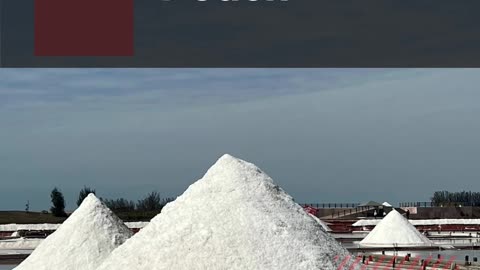 Motivational, Spiritual, Forbidden “Salt Pouch” Instantly Flicks Any Human "shorts"