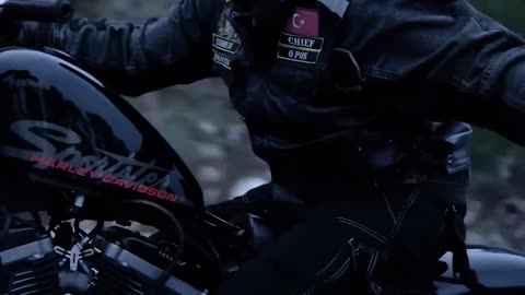Harley Sportster
