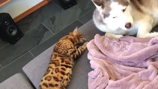 First kiss