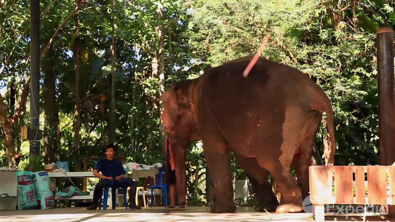 Chiang Mai_ A Guide to Traveling in Thailand