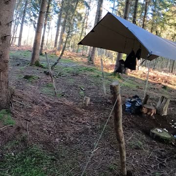 DD hammocks 3x3 tarp set up 21st Jan 2022