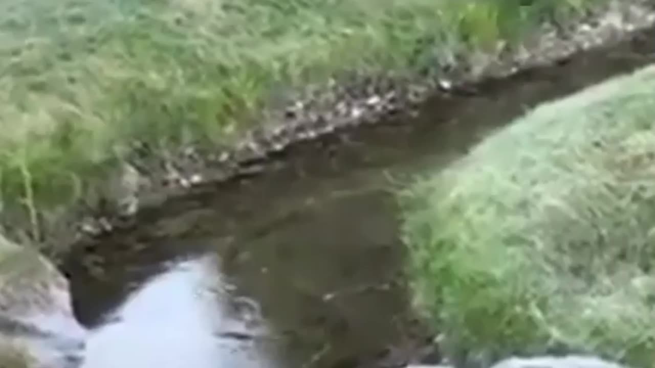 Memorable fails