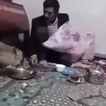 Kind family feeding a hungry fox