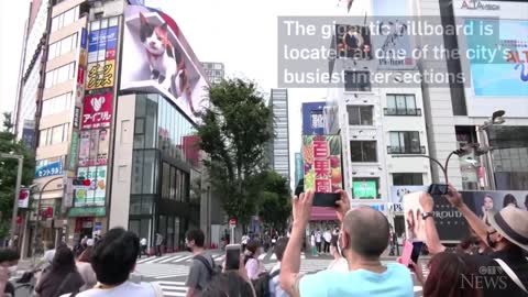 Giant 3D cat billboard dazzles in Tokyo