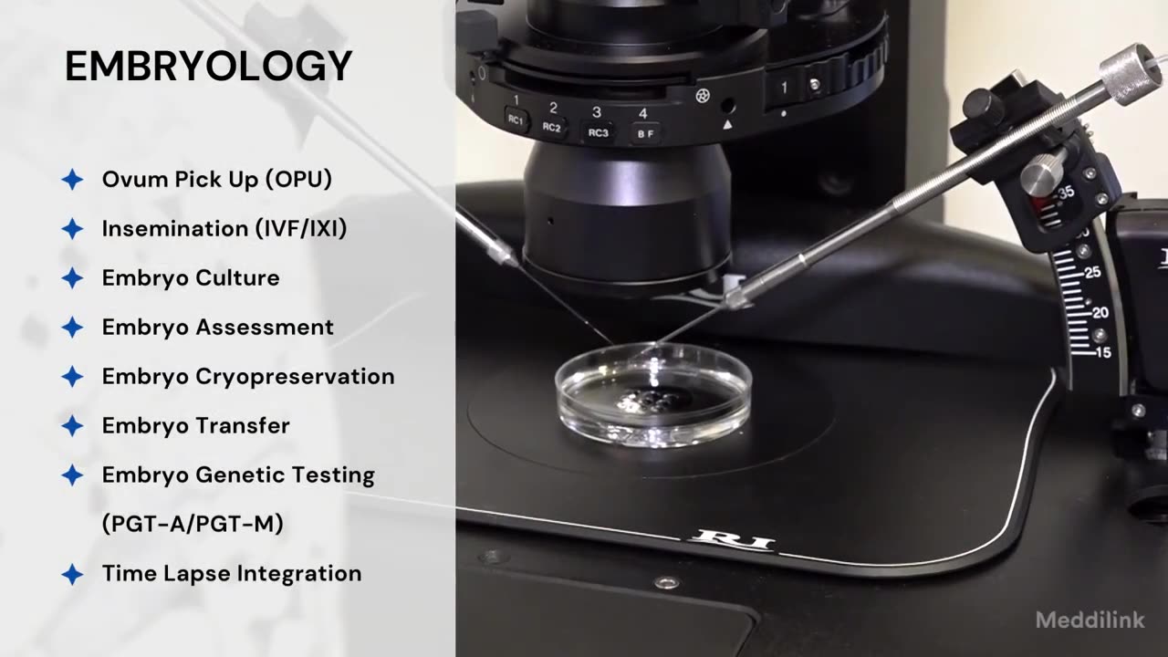 best ivf art management software