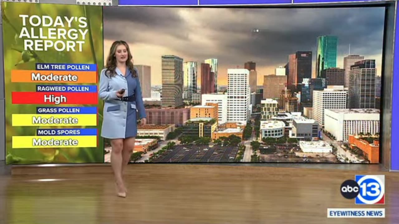 ABC13 Houston's Super Hot Elyse Smith On 092323