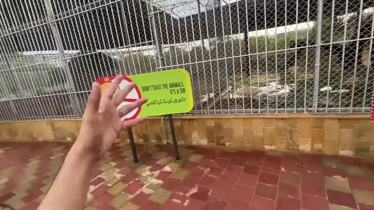 Giraffe🦒 boht kareeb agaya hamare😍 | zoo vlog