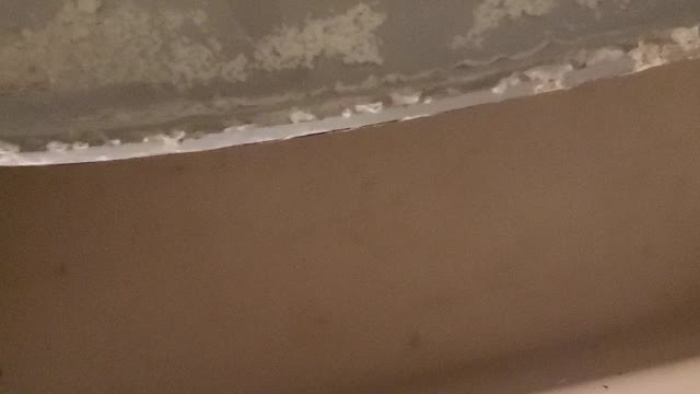 Flushing spider down the Dwayne