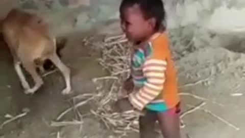 Funny video, mother love video