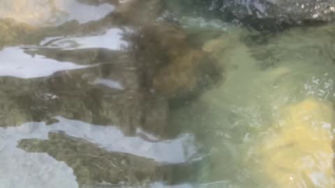 7/11 - Praia da Sepultura, Santa Catarina, Brasil.