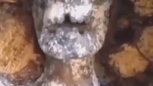 What could this actually be?