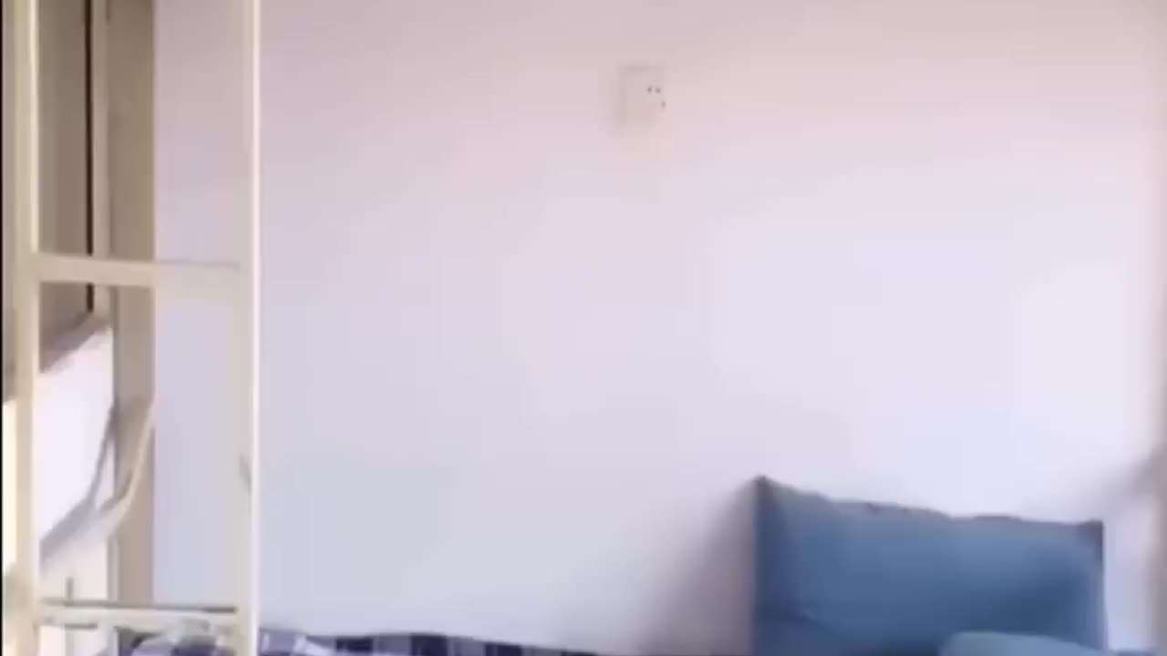 Funny Videos Part 2