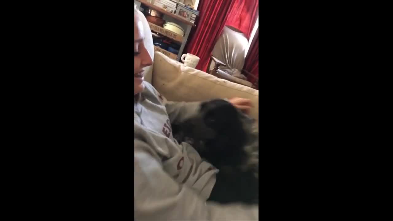 Clingy Dog Refuses to Stop Cuddling Caretaker (1)