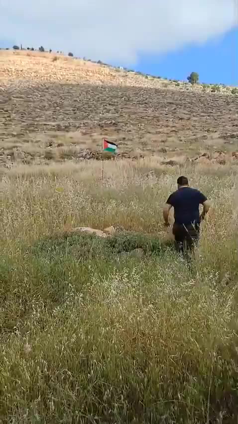 #palestine #israel Oops.