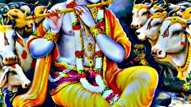 jai shree krishna