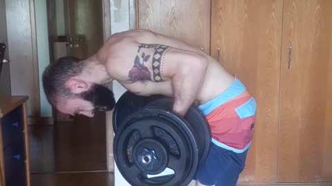 Inverted Back Row 68kg(34kg/34kg) - 150lbs(75lbs/75lbs)