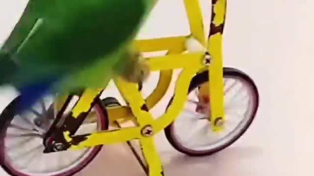 Parrot is gone outside || riding cycle