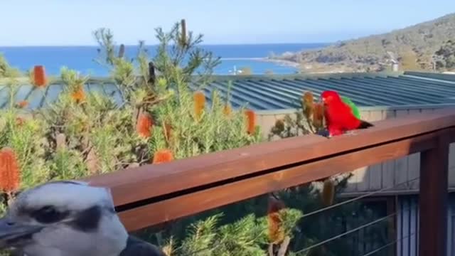 They are so cute! 🥰