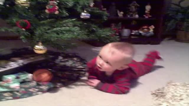 The ultimate christmas race between little boy and big tree