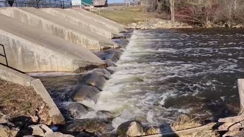 The Fish Refuge at Ahnapee River dam