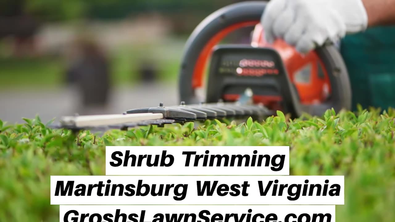 Shrub Trimming Martinsburg West Virginia Landscape Company