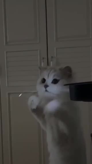 Is it possible to eat the light !😂