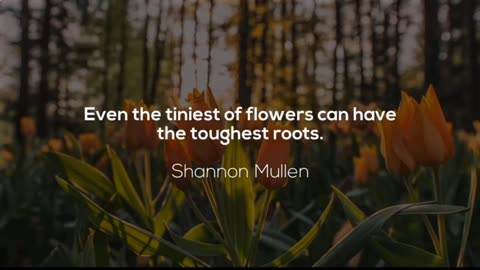 Beautiful Quote of flower