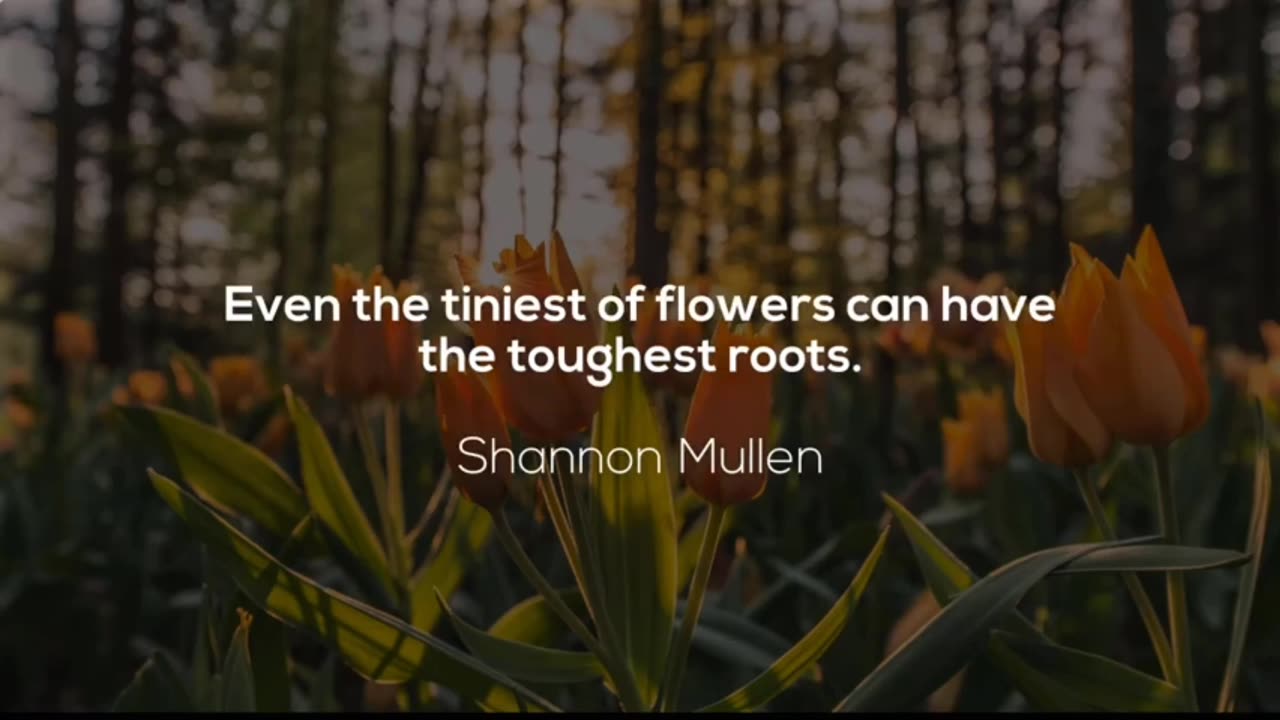 Beautiful Quote of flower