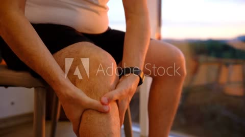 SUN EIGHT Orthopedic Backpack Girls SchooL