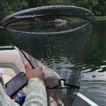 Bro Mel Catches Trout