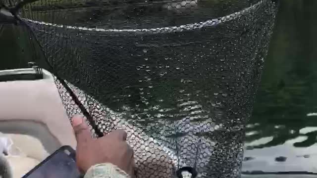 Bro Mel Catches Trout