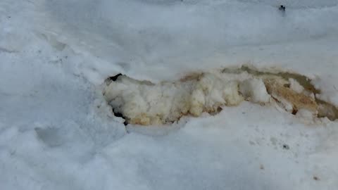 River Foam