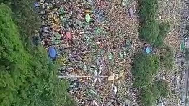 Massive protest after election results in Brazil. Bolsonaro supporters call on military to keep him in power