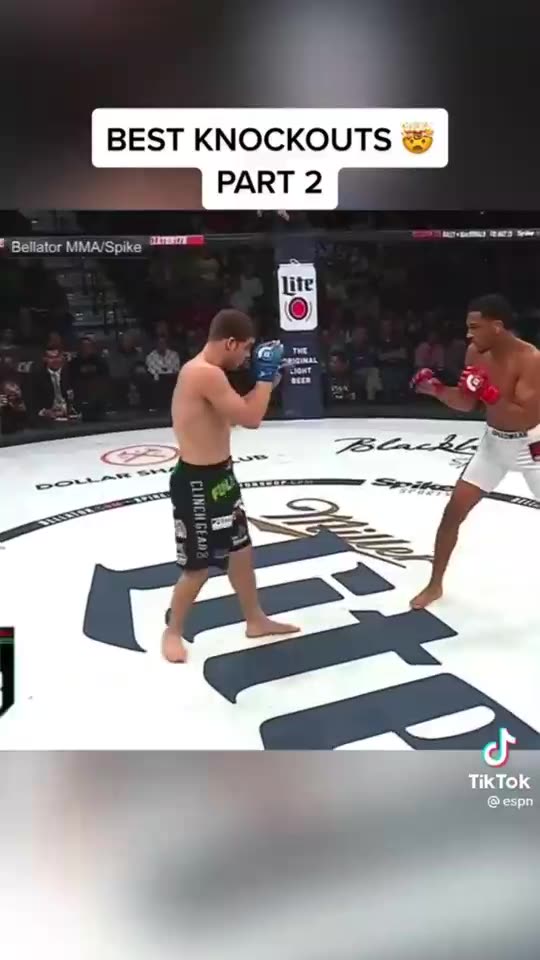 Knockout Artist 🎨 🥊