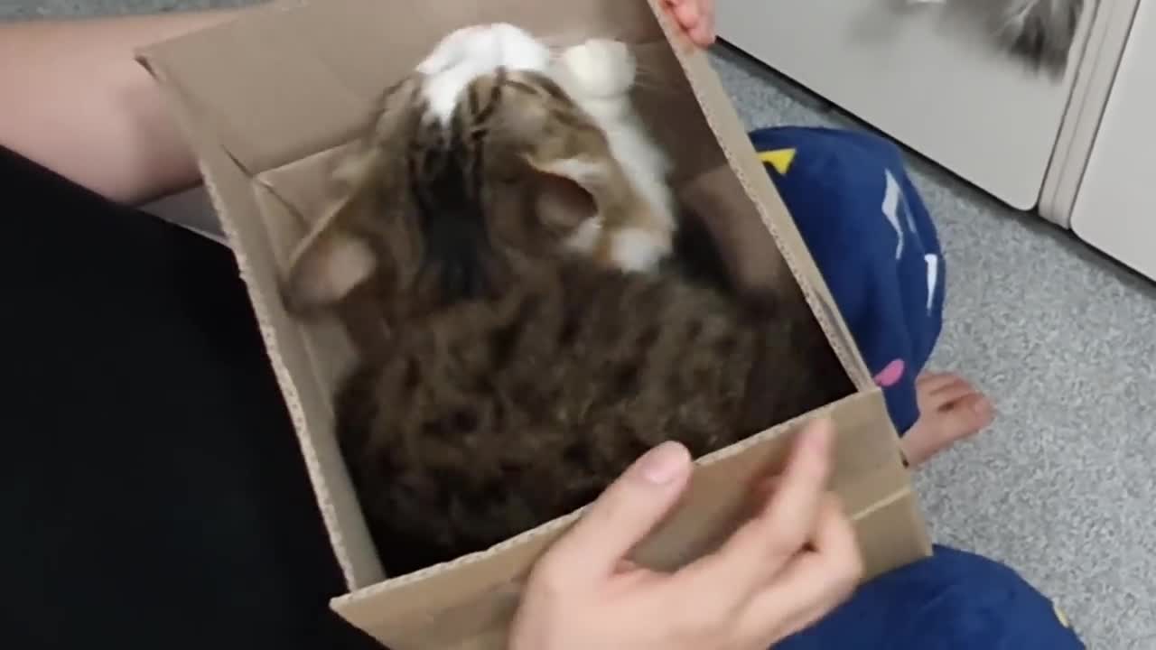 Find yours, human. It's not yours