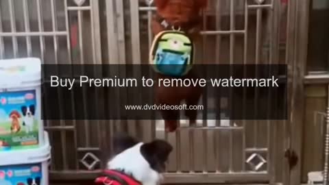 https://youtu.be/vyIDh5nO3ww