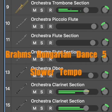 iPad is my orchestra - Brahms Hungarian Dance 5
