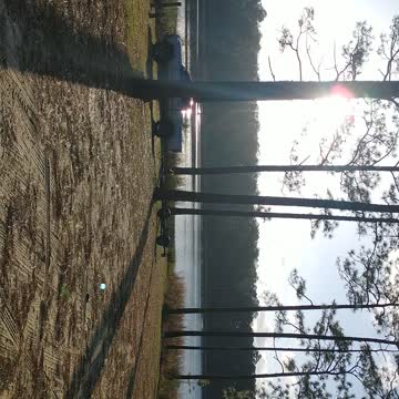 Free Camping--Hurricane Lake-Baker, FL