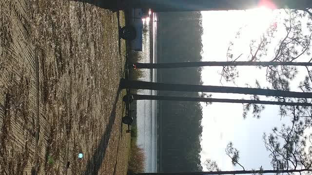 Free Camping--Hurricane Lake-Baker, FL