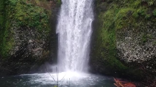 Pāhāṛa jēmana kōrē jharṇā bōhā'i ā'i lirikāla bhiḍi'ō - ni'u gōjala 2022