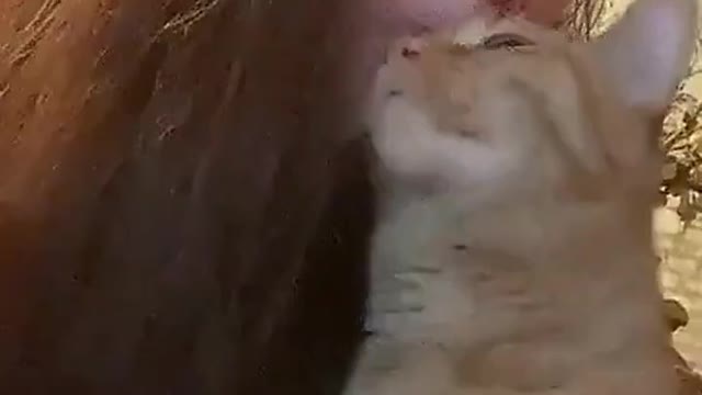 Let me teach you about cat kisses